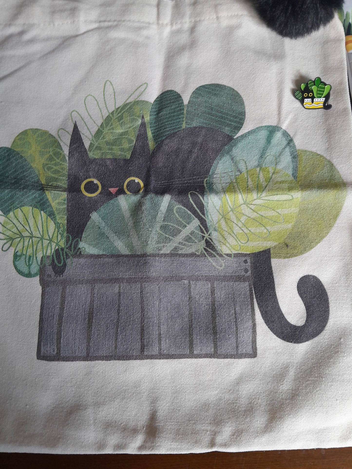 Cat in house plants