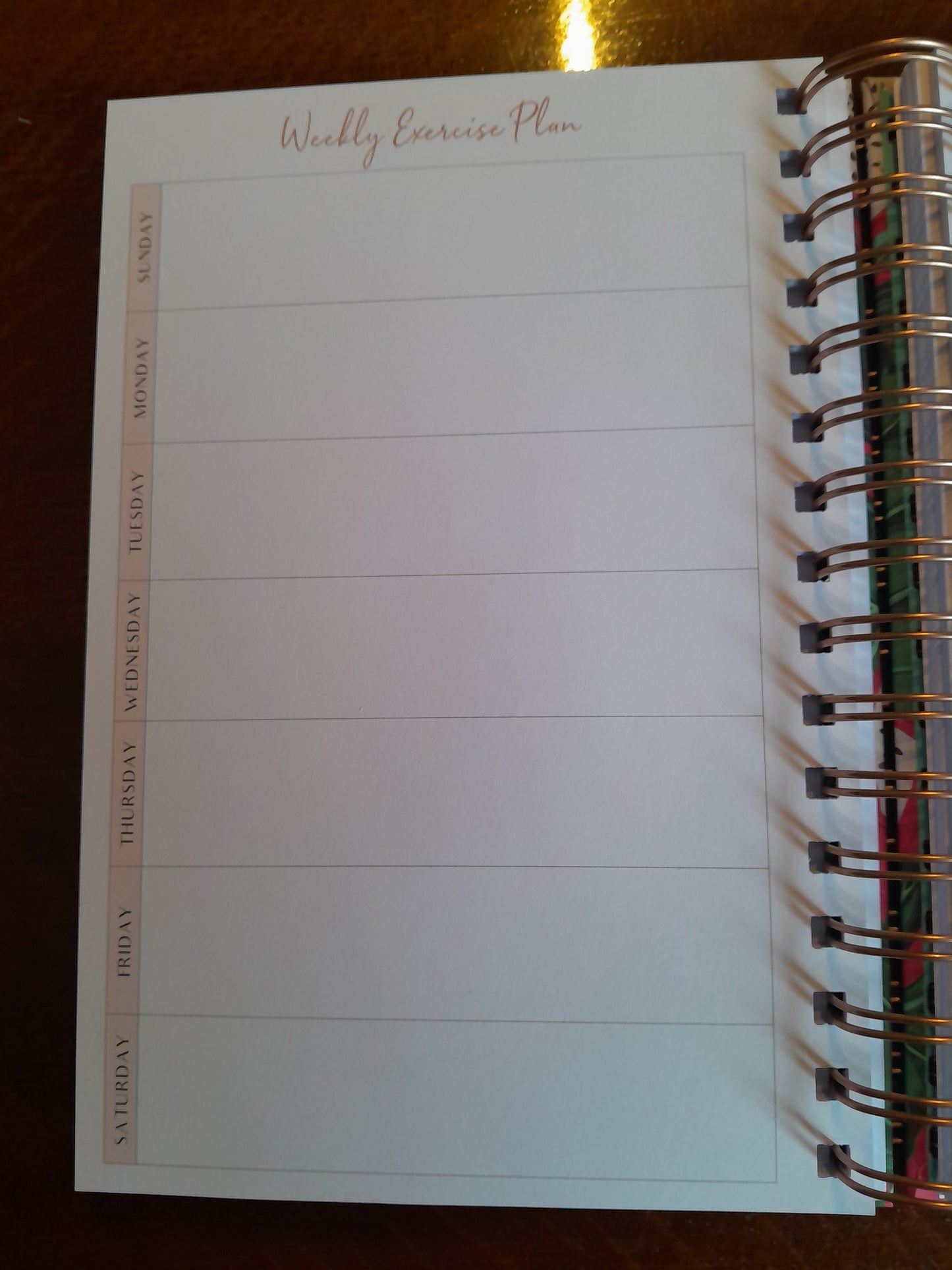 Planberry food journal